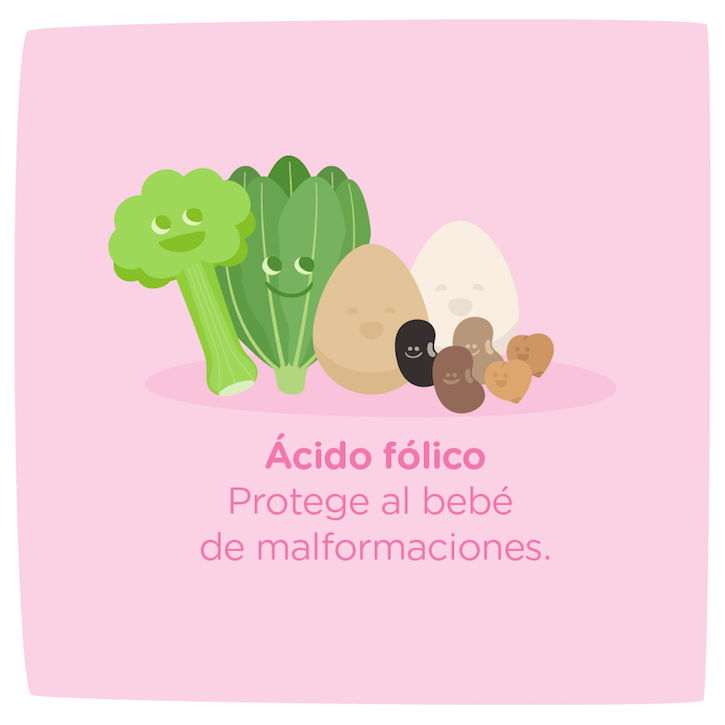 El ácido fólico protege al bebé de malformaciones