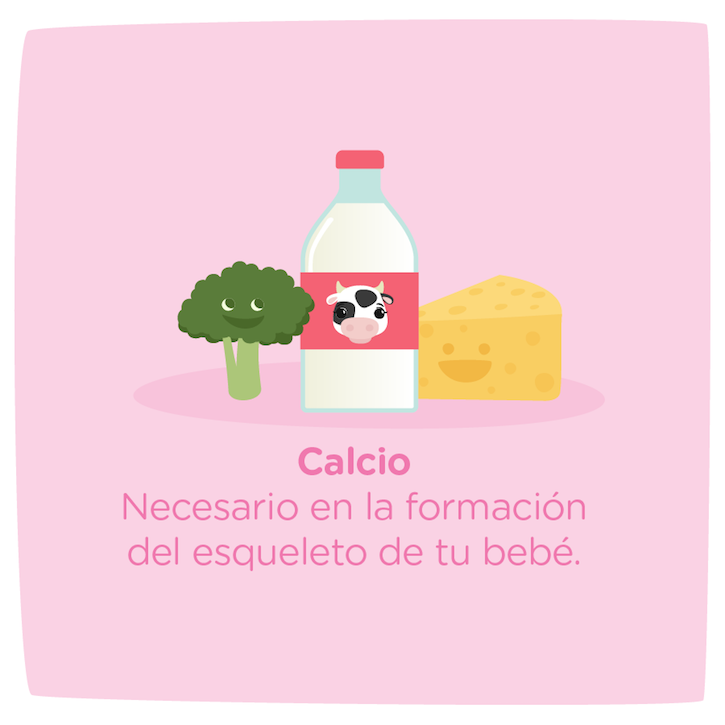 El calcio en el embarazo es necesario en la formación de los huesos del bebe