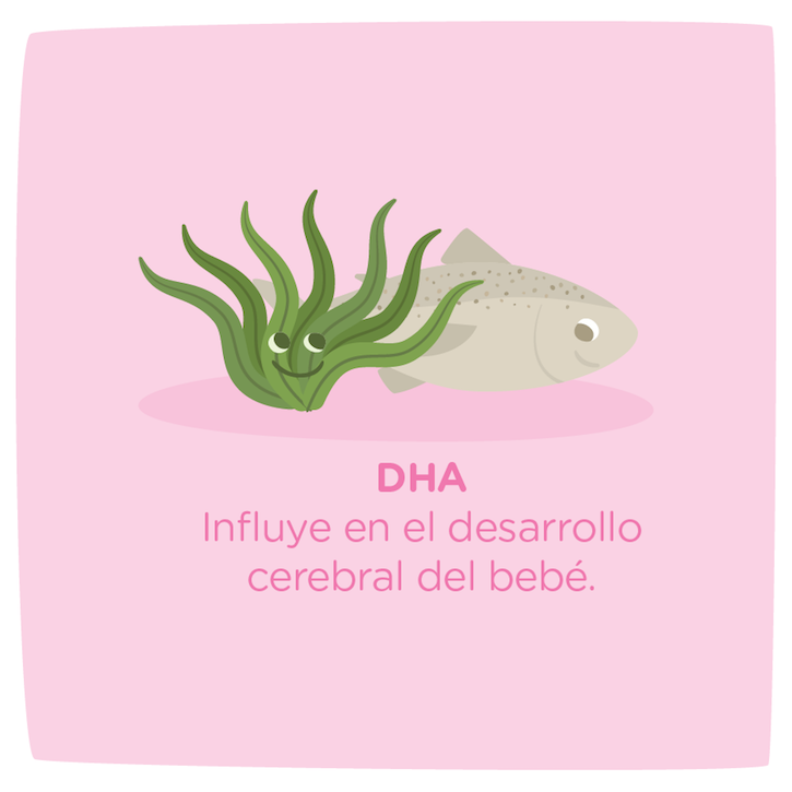 Uns dieta balanceada con DHA influye en el desarrollo del cerebro del bebe
