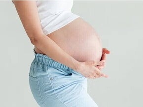 La placenta
