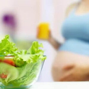 alimentacion alimentacion