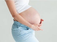 La placenta