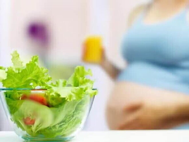alimentacion alimentacion
