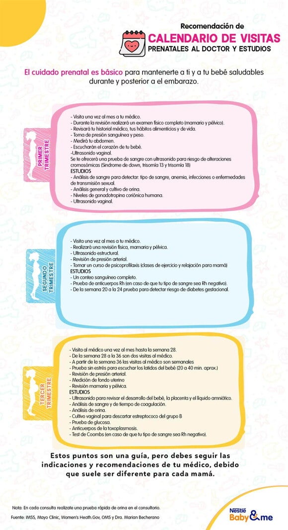 Calendario de visitas prenatales al doctor y estudios Calendario de visitas prenatales al doctor y estudios