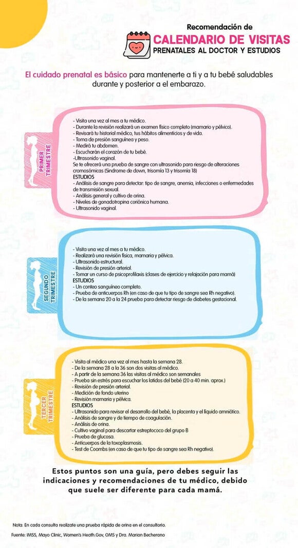  Calendario de visitas prenatales al doctor y estudios