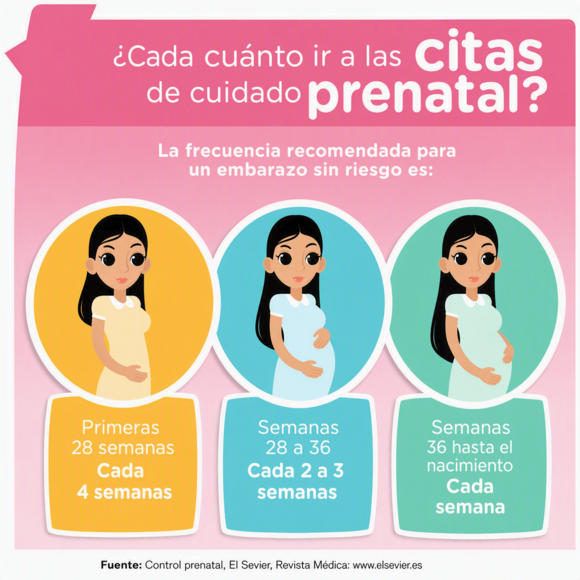Citas prenatales